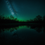 An alien swamp glowing under the serene starlight, showcasing a mystical and otherworldly landscape with lush vegetation and ethereal beauty.