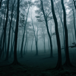 A mystical cursed forest enveloped by a glowing mist, creating an ethereal and enchanting atmosphere.