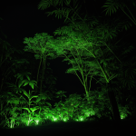 An alien jungle scene with vibrant, glowing plants illuminating the forest in neon hues, creating a mystical and otherworldly environment.