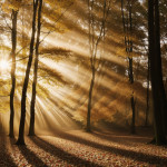 A captivating autumn forest scene with sunlight streaming through the colorful canopy, highlighting the vibrant fall foliage and creating a serene atmosphere.