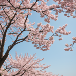 A breathtaking scene of cherry blossom petals gracefully floating through the air, capturing the essence of spring's fleeting beauty and renewal.
