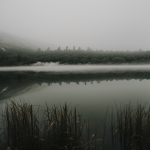 A foggy morning by the lake with mist hovering over the water, creating a serene and peaceful atmosphere perfect for tranquility and reflection.