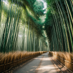 A stunning view of a forest bamboo tunnel with tall, lush green bamboo stalks forming a natural canopy overhead, creating a peaceful and enchanting passage.