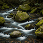 A serene view of a mossy rock stream with water gently flowing over lush, moss-covered stones, surrounded by vibrant greenery.