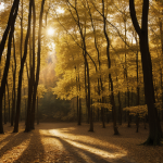 A picturesque autumn forest bathed in golden light, capturing the vibrant colors of fall foliage and the serene beauty of nature's seasonal changes.