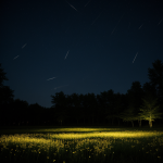 A captivating scene of fireflies illuminating a serene meadow under the moonlit sky, showcasing nature's enchanting light display.