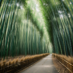 A serene view of a forest bamboo tunnel, with lush green bamboo stalks creating a natural canopy overhead, inviting visitors into a tranquil, peaceful escape.