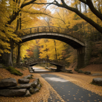 An enchanting forest bridge covered in autumn leaves, showcasing vibrant colors and serene natural beauty in a tranquil woodland setting.