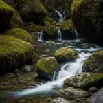 Lush green moss covers rocks near a crystal-clear waterfall, creating a serene and captivating natural landscape ideal for nature enthusiasts.